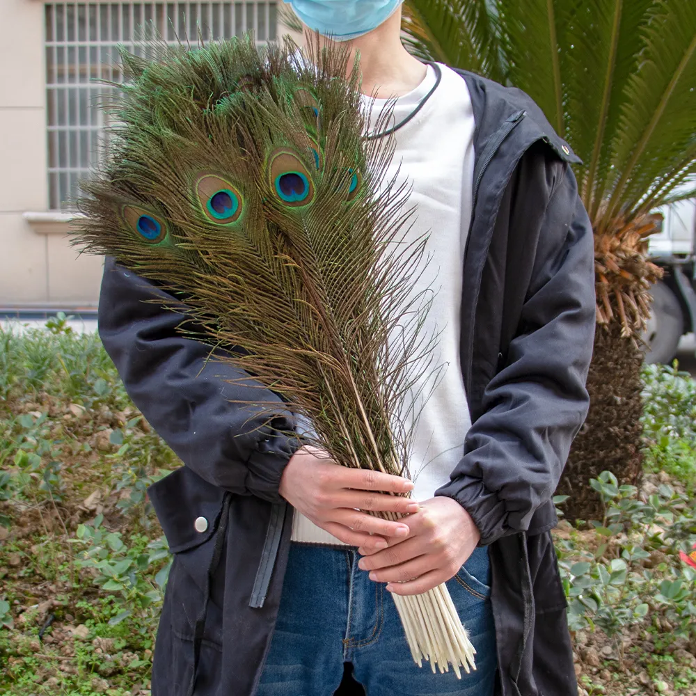 50 Natural Peacock Real Peacock Feathers For DIY Crafts, Wedding